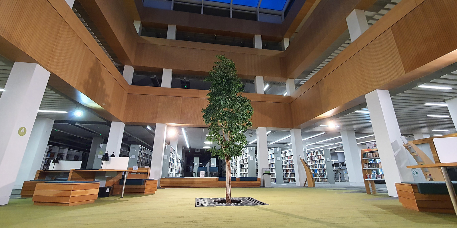 91 library foyer with the living tree in the centre.